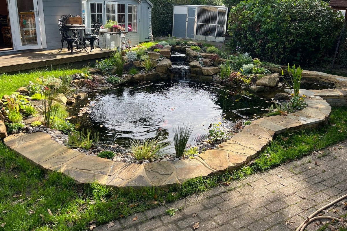 This image shows a small backyard pond with a waterfall, surrounded by stones and plants. The water feature looks professionally designed and is near a house with a deck.