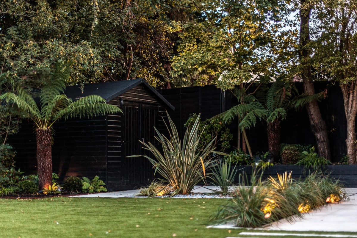 The picture shows a garden with tall ferns and grasses, a smooth green lawn, and a dark wooden shed. The garden's design is simple and natural with plants and trees.